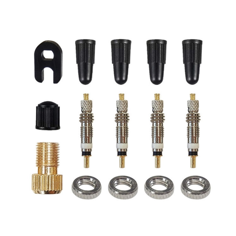 15 in 1 French Valve Core Adapter Set