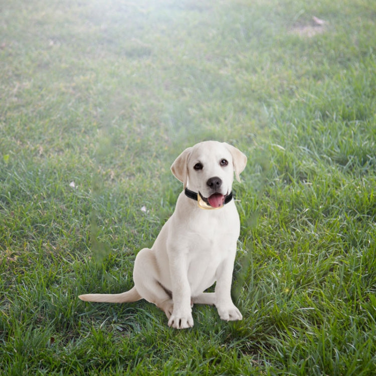 RC-302A Pet Bark Stopper Electric Shock Automatically Prevent Barking From Bark Stopper