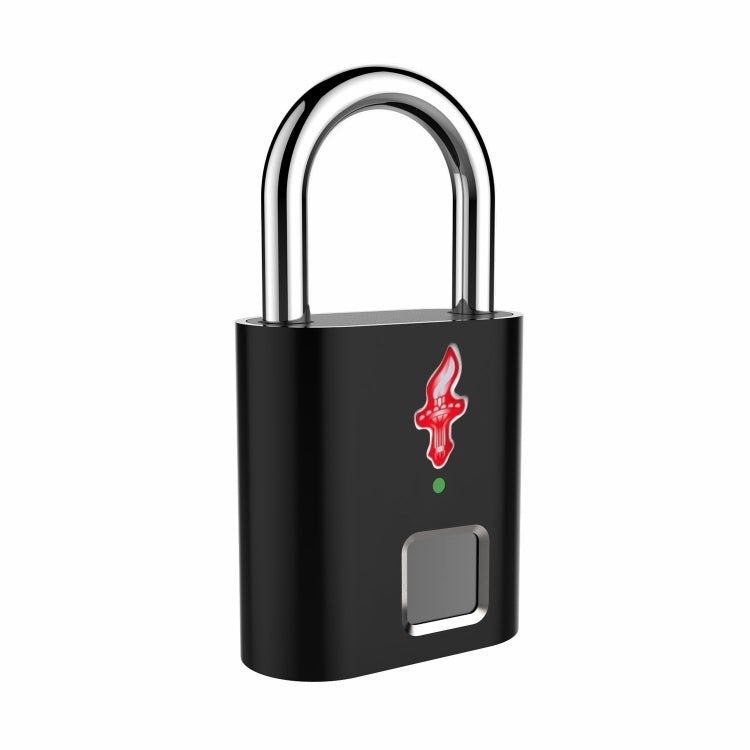 P16 5V Micro USB Charging Semiconductor Fingerprint Sensing TSA Padlock