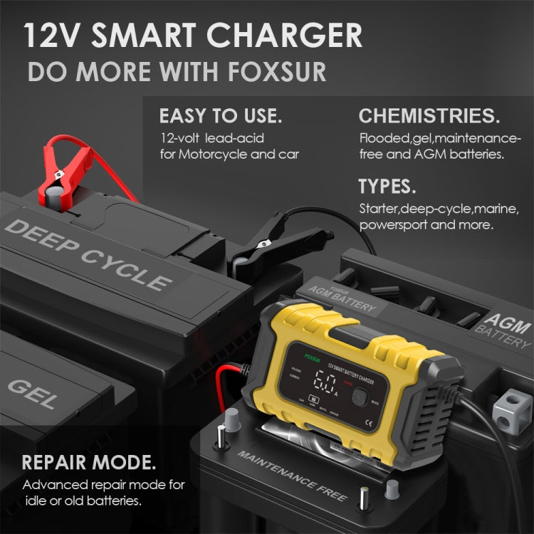 FOXSUR 6A 12V Motorcycle / Car Smart Battery Charger