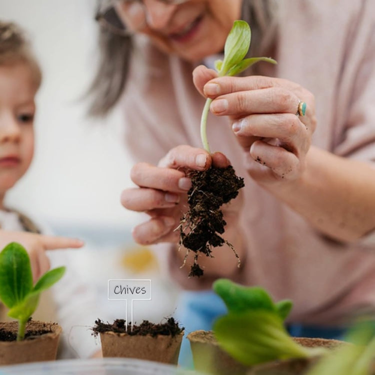 24pcs / Box Acrylic Plant Label Nameplate Potted Plant Sign Holder