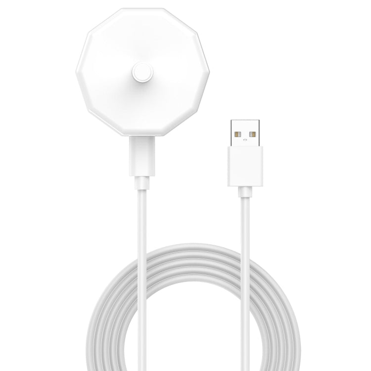 Electric Toothbrush Charging Base, Specification: Type-C Plug