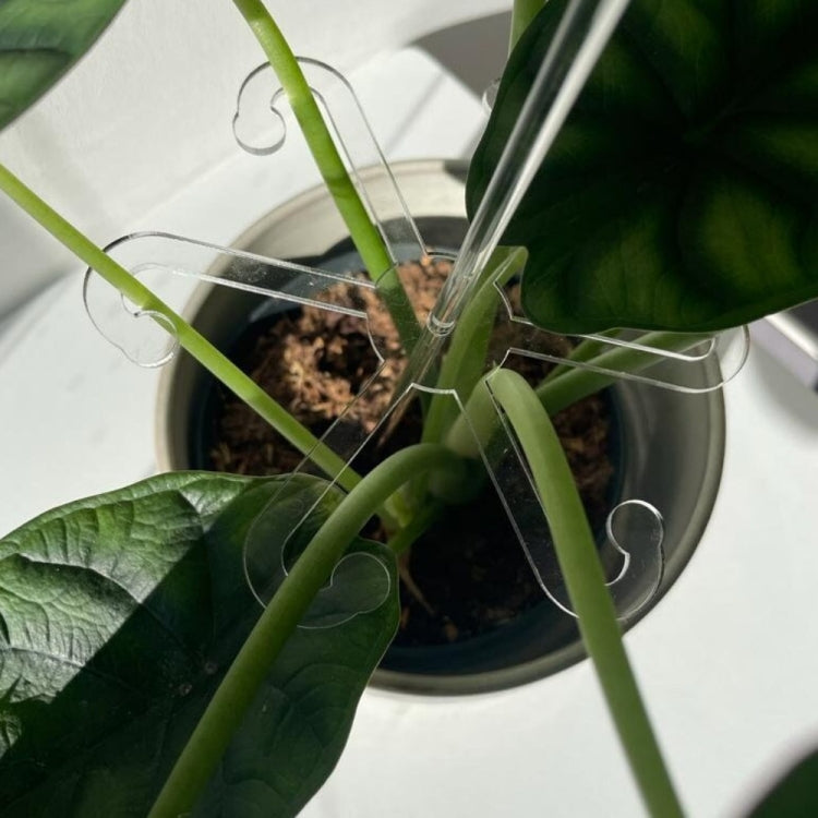 YX106 Acrylic Plant Growth Support Bracket