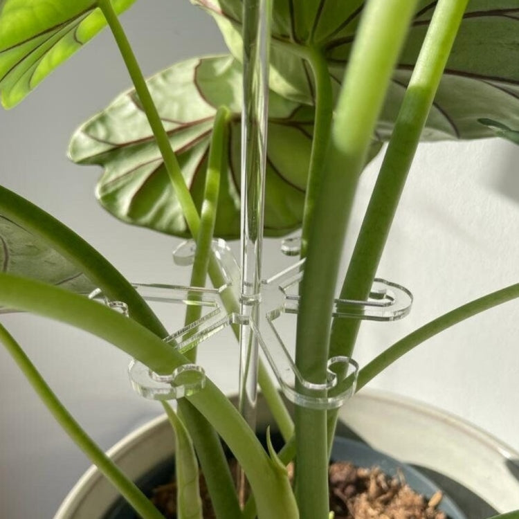 YX106 Acrylic Plant Growth Support Bracket