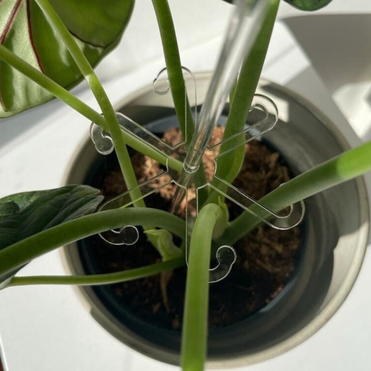 YX106 Acrylic Plant Growth Support Bracket