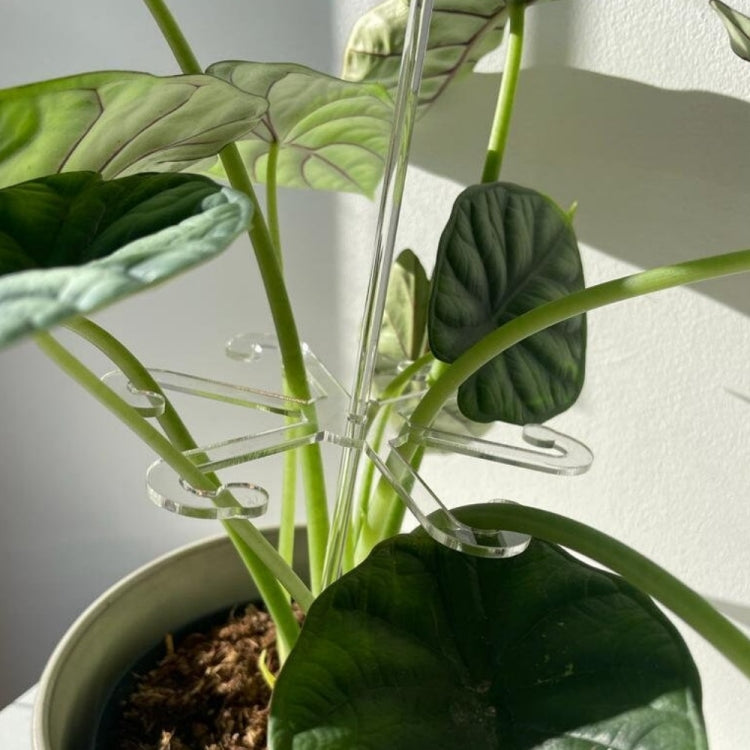YX106 Acrylic Plant Growth Support Bracket