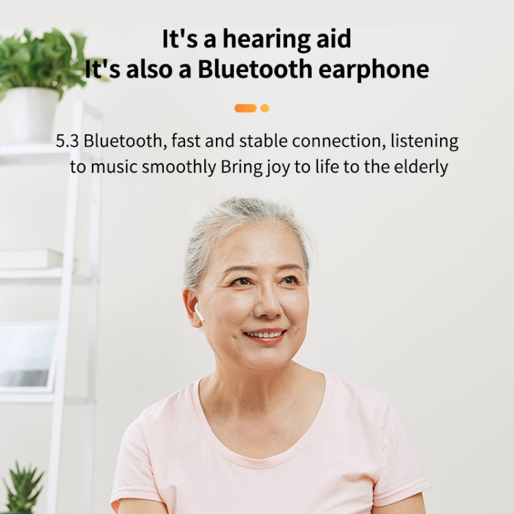 Bluetooth 5.3 In-ear AI Smart Recognition Hearing Aid