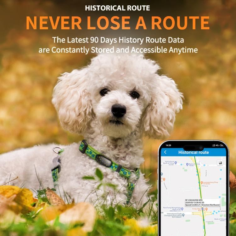 RF-V53 IP67 Waterproof Pet GPS Collar Tracking Device Anti-loss Positioner