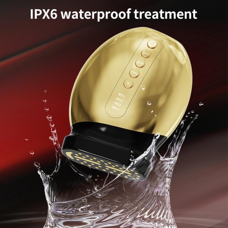 WG-CY00-6 38-pole Large Iron Style RF Skin Rejuvenation Beauty Instrument