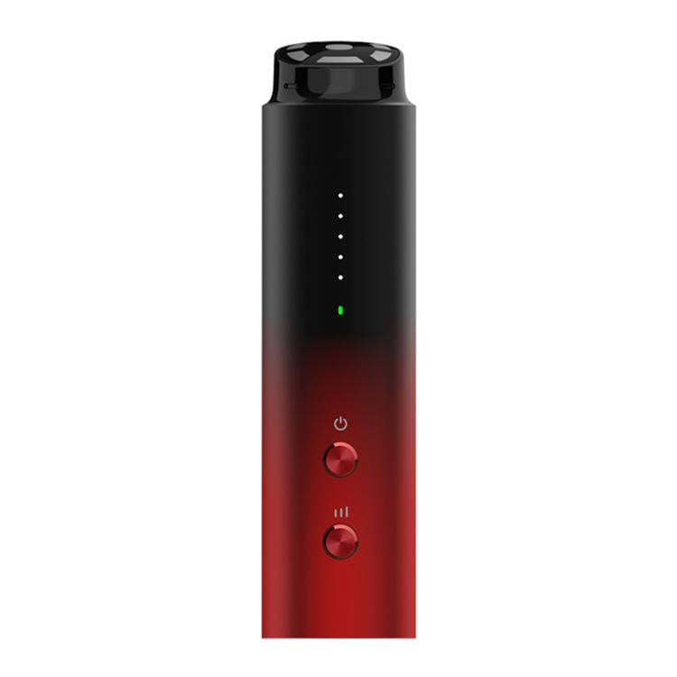 L3007 Frequency Conversion Microcurrent Photon Skin Rejuvenation RF Beauty Instrument