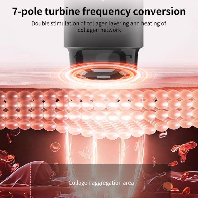 L3007 Frequency Conversion Microcurrent Photon Skin Rejuvenation RF Beauty Instrument