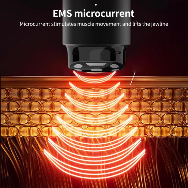 L3007 Frequency Conversion Microcurrent Photon Skin Rejuvenation RF Beauty Instrument