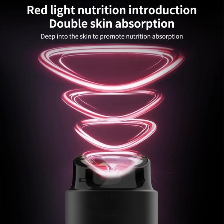 L3007 Frequency Conversion Microcurrent Photon Skin Rejuvenation RF Beauty Instrument