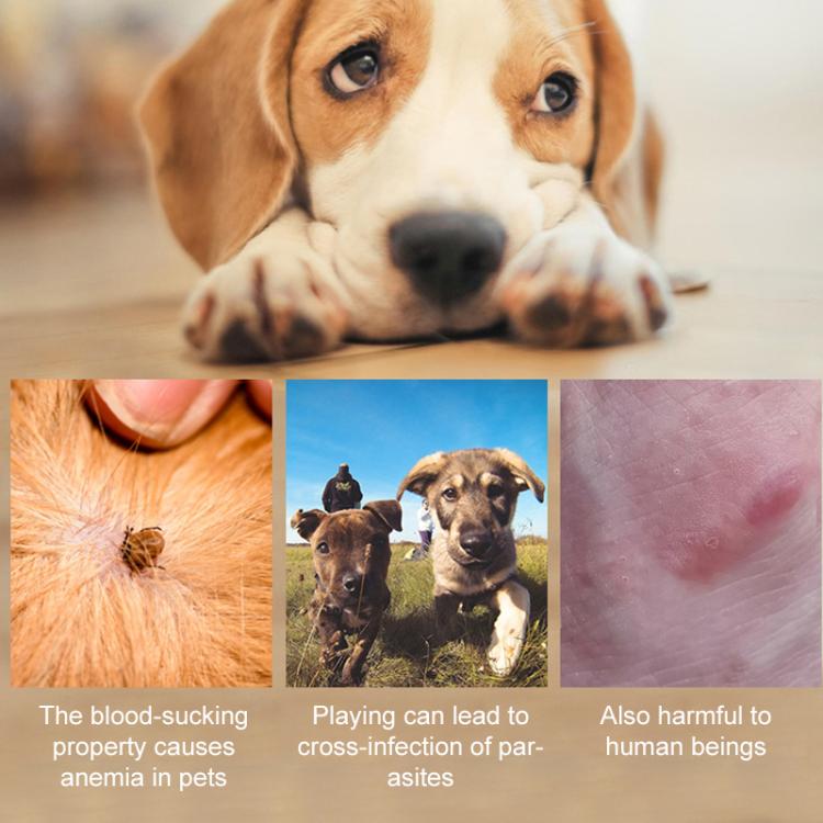 Pet Deworming Calming Collar Fleas Ticks Removing, Aluminum Box Packing