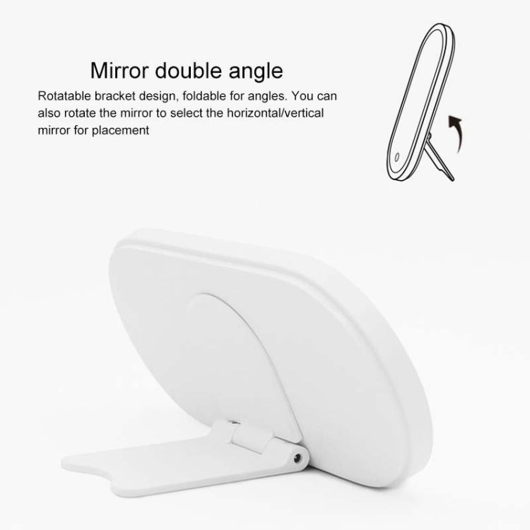 Portable Cosmetic Case Cosmetic Storage Box with Handle & Makeup Mirror & Table Lamp