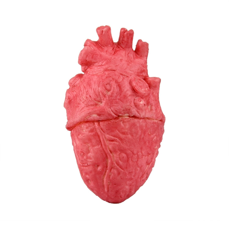 Popular Funny Halloween Props Fake Heart