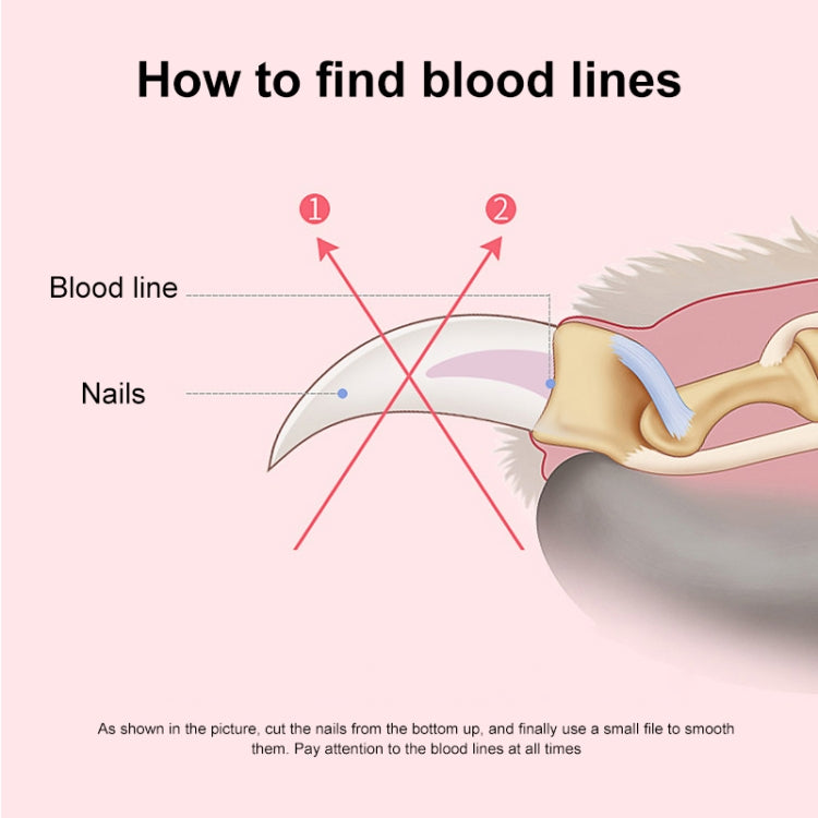 Pet Nail Clippers and Polisher Set, Size: Small