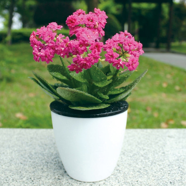 Lazy Flower Pots Automatic Water-absorbing Hydroponic Potted Plants Circular Resin Plastic Flower Pots Double-layer Design Self Watering Planter, Diameter: 13cm, Height: 13.7cm