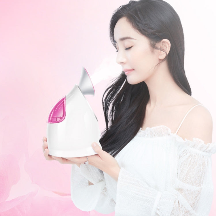 KINGOMCARES KD-2331A Nano Spray Moisturizing Face Steaming Device