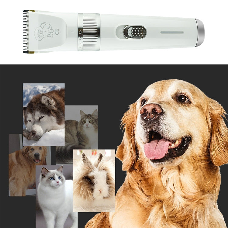 Q6 USB Charging Electric Pet Shaver with Four Combs
