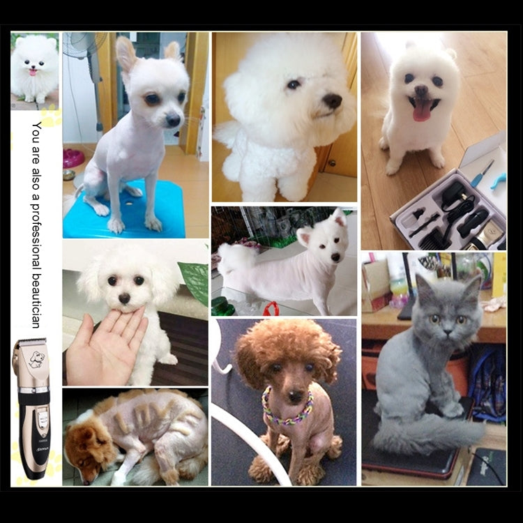 P2 110-240V Ceramics Titanium Professional Pet Electric Scissors Pets Hair Clippers with Four Combs