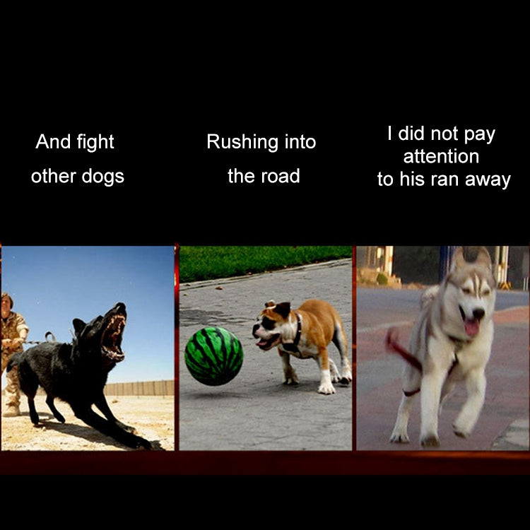 Medium and Large Dog Pet Solar + USB Charging LED Light Collar, Neck Circumference Size: S, 35-40cm