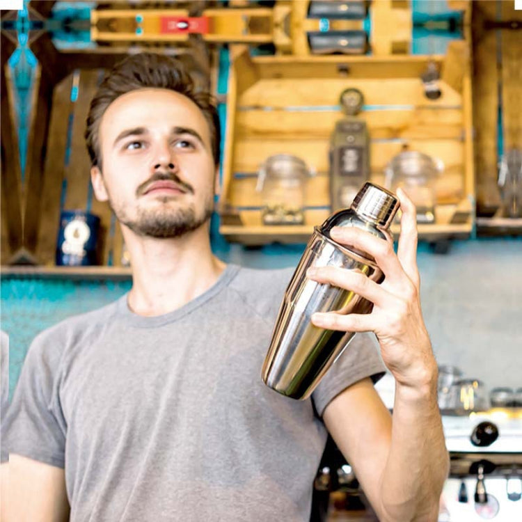 7 in 1 Stainless Steel Wine Cocktail Shaker Tools Set with Cloth Bag, Capacity: 350ml