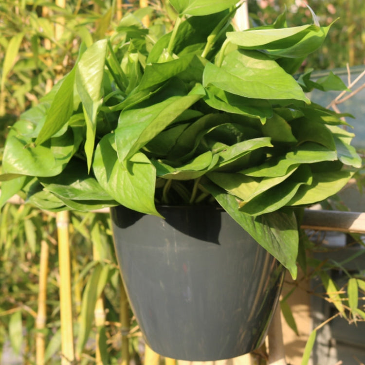 Self-Watering Planter Grow Plants Lazy Flower Pots Wall-hanging Round Resin Plastic Flower Pots, Size: 13x8.5x13cm