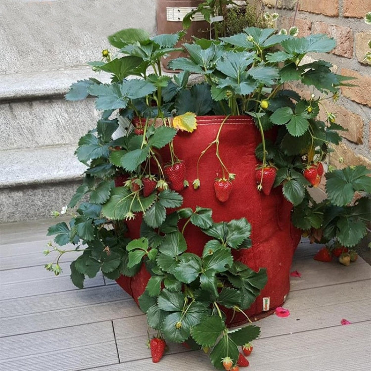 8 Pockets 43L / 10 Gallon Non-woven Felt Strawberry Planting Bag, Size: 35X45cm