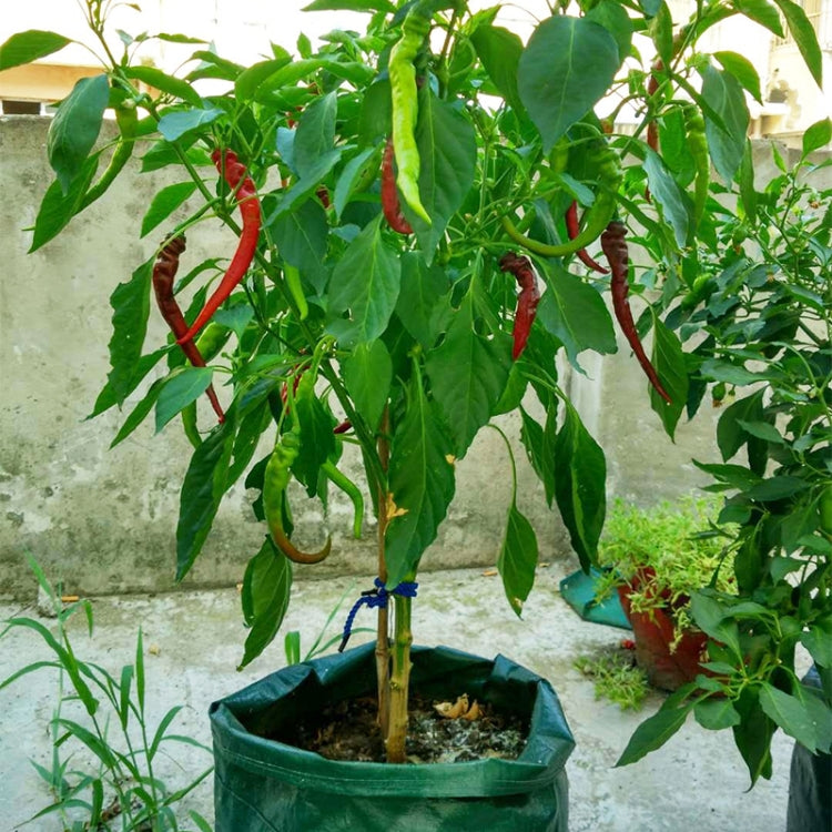 8 Pockets 43L / 10 Gallon Non-woven Felt Strawberry Planting Bag, Size: 35X45cm