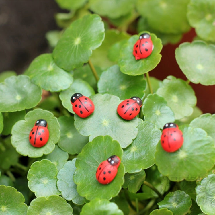 50pcs Red Color Wooden Cabochons Ladybug for Decoration Wood Ladybug Decoration Crafts Micro-landscape Ornaments Accessories Multi-meat Ornaments