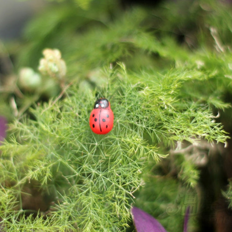 50pcs Red Color Wooden Cabochons Ladybug for Decoration Wood Ladybug Decoration Crafts Micro-landscape Ornaments Accessories Multi-meat Ornaments