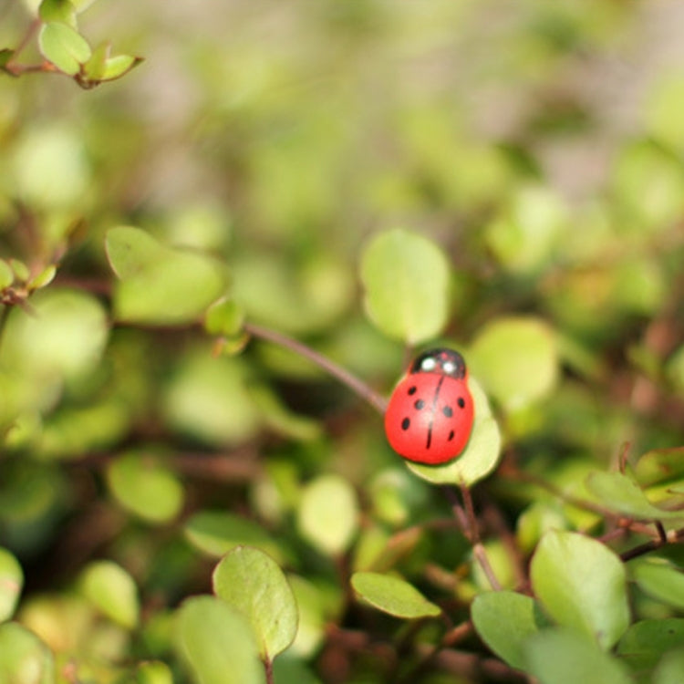50pcs Mixed Color Wooden Cabochons Ladybug for Decoration Wood Ladybug Decoration Crafts Micro-landscape Ornaments Accessories Multi-meat Ornaments