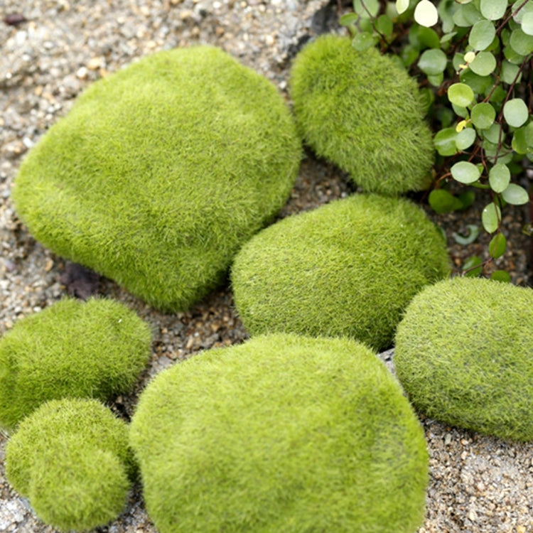 Simulation of False Moss Simulation of Bryophyte Stone Moss Flocking False Lawn Micro Landscape Decoration Accessories,Diameter:10cm