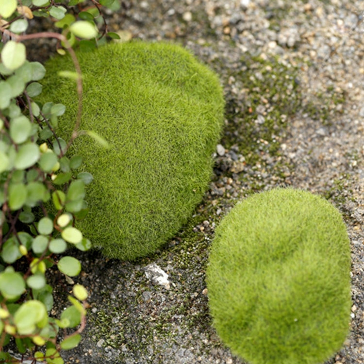 5pcs Simulation of False Moss Simulation of Bryophyte Stone Moss Flocking False Lawn Micro Landscape Decoration Accessories,Diameter: 8cm