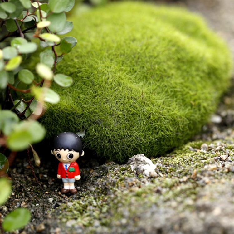 5pcs Simulation of False Moss Simulation of Bryophyte Stone Moss Flocking False Lawn Micro Landscape Decoration Accessories, Diameter: 6cm