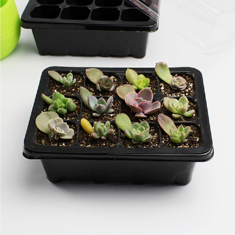 Seedling Tray Sprout Plate 12 Holes Nursery Pots Tray Lids Box For Gardening Bonsai Mini Greenhouse Nursery Plate