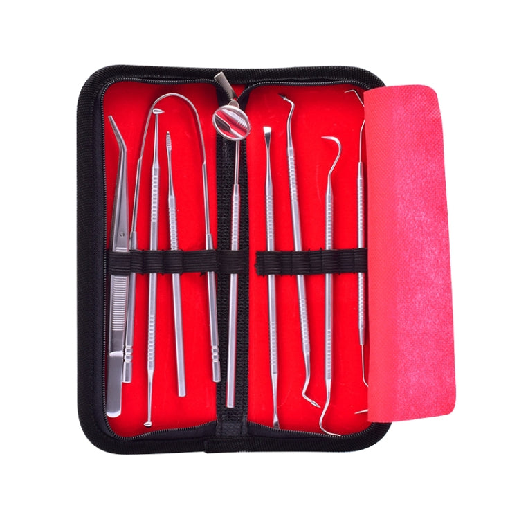 9 In 1 Stainless Steel Dentist Tools Set