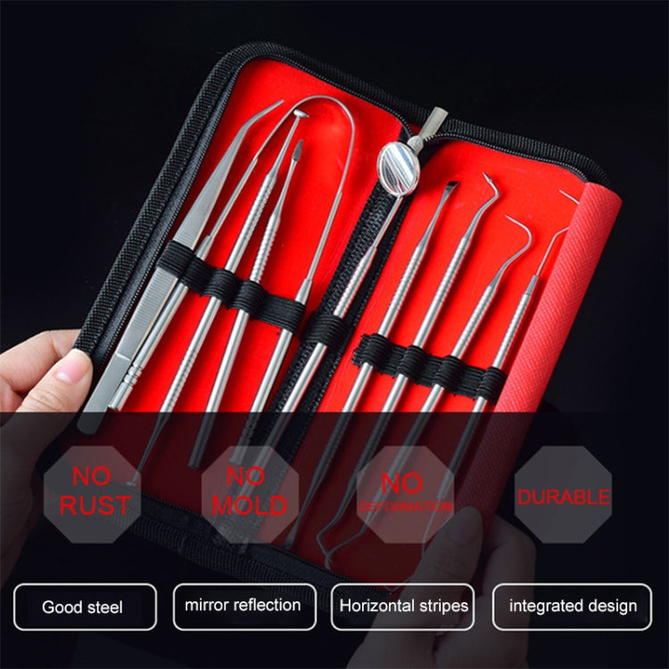 9 In 1 Stainless Steel Dentist Tools Set