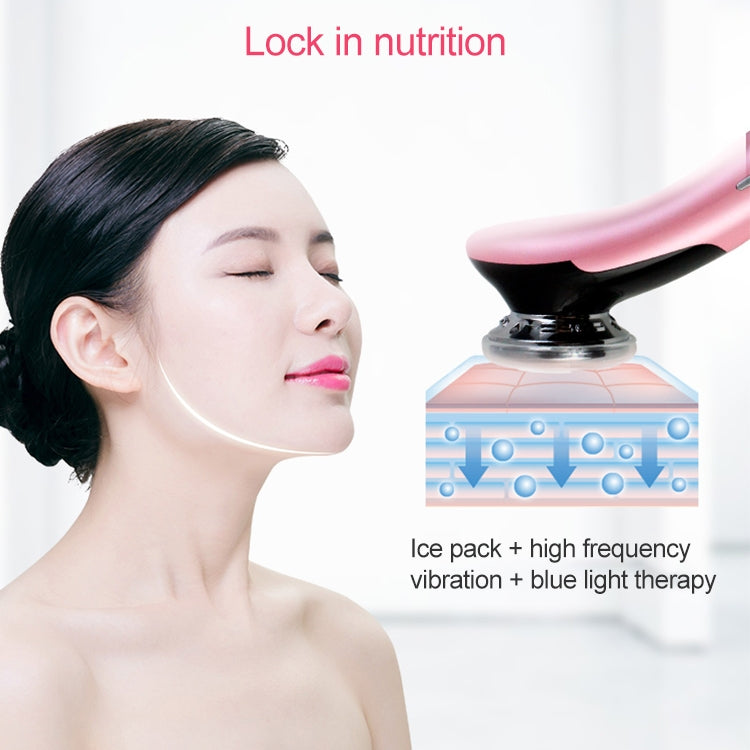 BLK-D818 Facial Beauty Instrument Hot and Cold Color Skin Rejuvenation Instrument EMS Micro Current Beauty Introduction Instrument