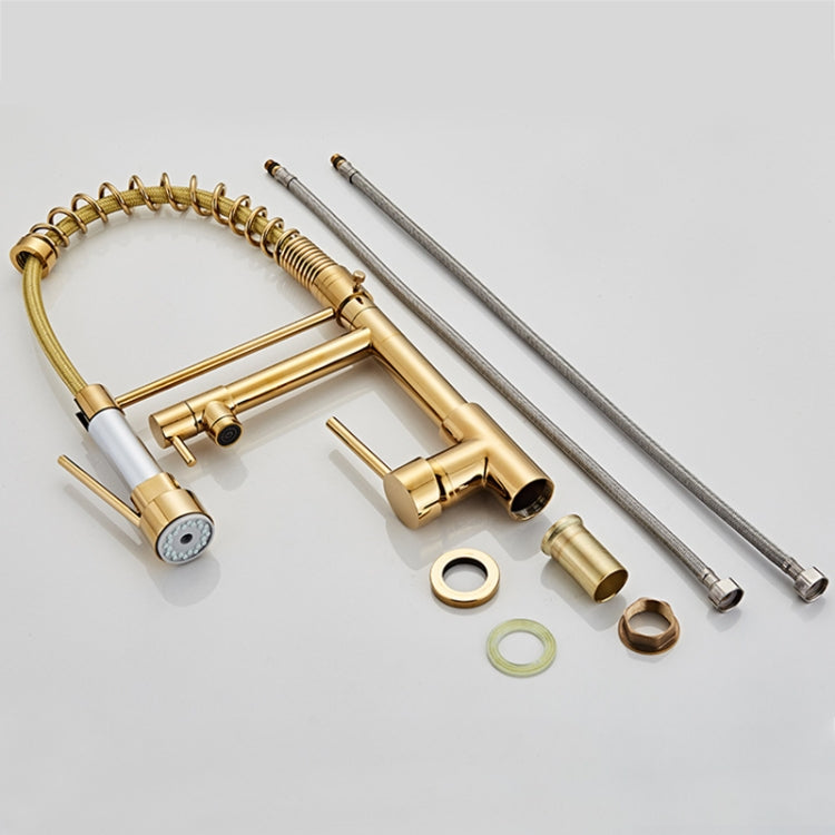 Copper Pull Type Large Spring Double Outlet Kitchen Sink Hot Cold Faucet