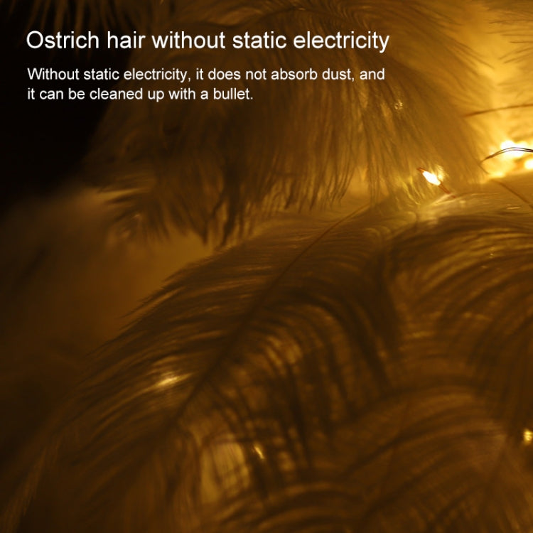 Creative Bedroom Feather Table Lamp Night Light Decorative Light