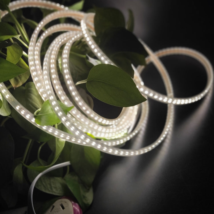 5m SMD 2835 600 LEDs LED Strip Light, AC 220V-240V, EU Plug