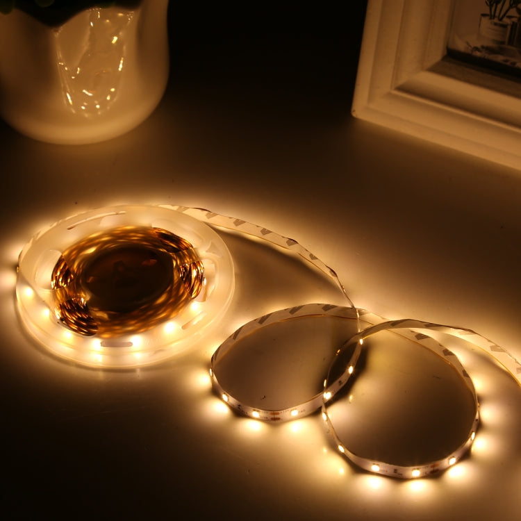 Bare Board 2835 SMD Dimmable White Light / Warm Light LED Rope Light, 60 LED/m, Length: 5m, 12V 2A 100-240V
