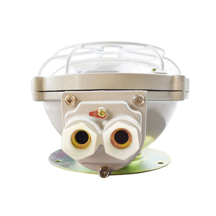 BXL 220V Explosion-proof Annular Ceiling Lamp Fluorescent Lamp