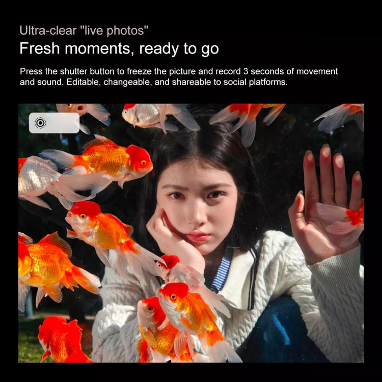 OnePlus Ace 5, 12GB+256GB, 6.78 inch ColorOS 15.0 Snapdragon 8 Gen 3 Octa Core, NFC, Network: 5G