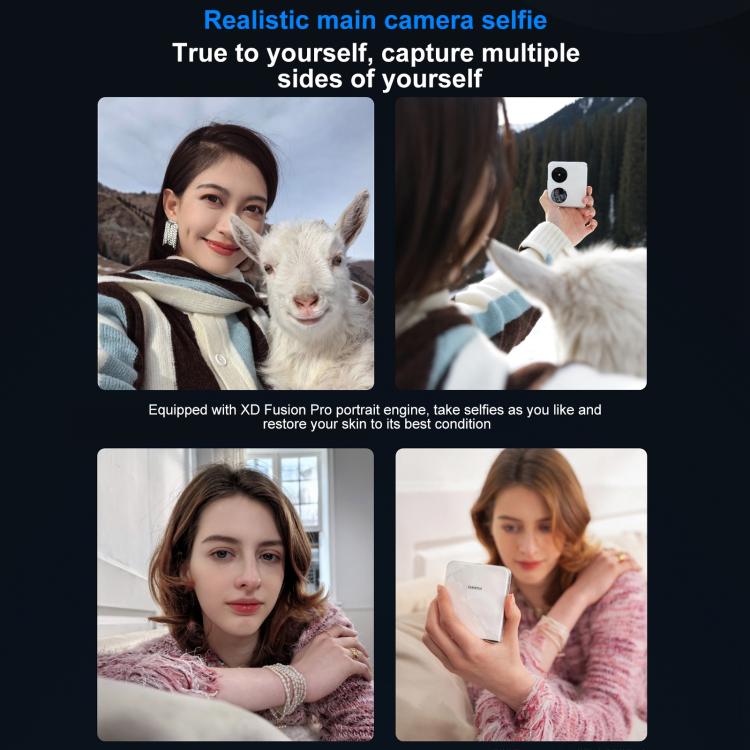 HUAWEI Pocket 2 Premium Edition, 12GB+256GB, 6.94 inch + 1.15 inch HarmonyOS 4.3 Octa Core, OTG, NFC, Not Support Google Play