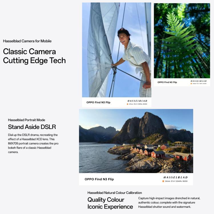 OPPO Find N3 Flip AI, 12GB+256GB, Face ID & Side Fingerprint Identification, 6.8 inch + 3.26 inch Screen ColorOS 13.2 Dimensity 9200 Octa Core, Network: 5G