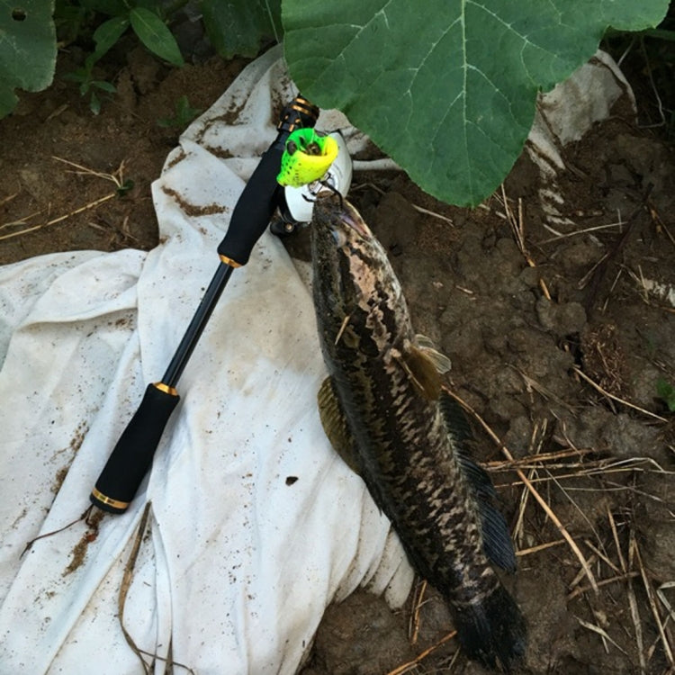 HENGJIA 5 PCS Soft Baits Water-hit Fishing Lures Ray Frog Baits with Plastic Box