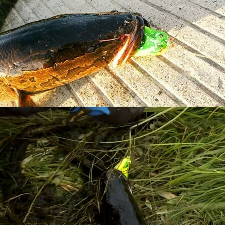 HENGJIA 5 PCS Soft Baits Water-hit Fishing Lures Ray Frog Baits with Plastic Box